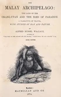 Alfred Russel Wallace Drucke: The Malay Archipelago