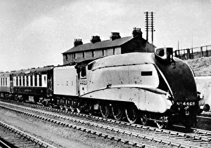 LNER Locomotive Drucke: The Mallard