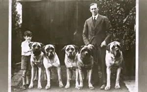 Large Dog Breeds Drucke: Man and boy with five large boxer dogs