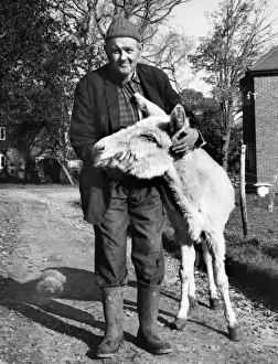 Unusual Animal Friends Drucke: Man and mule