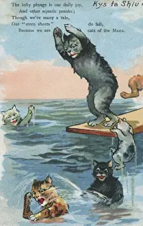 Isle Of Man Drucke: Manx-Katzen gehen schwimmen.