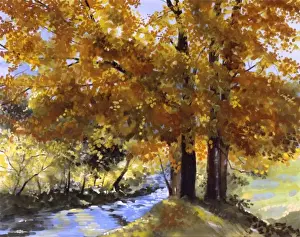 Malcolm Greensmith Painting Drucke: Maple Fall