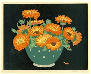 Blumen von Marigold durch Halle Thorpe