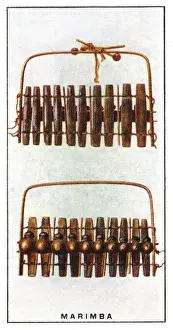 Drucke von Das Zulu Harmonikon (gezeigt in Front- und Rückansicht) wird auch als Marimba bezeichnet. Jeder der zehn Holzbalken hat eine Schale befestigt, die als Resonator fungiert Marimba Drucke: Marimba
