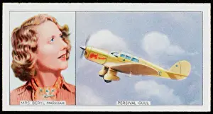 Percival Markham Gull