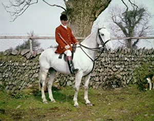 Meister der Devon und Somerset Hunderassen