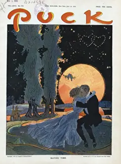 Puck Magazine Artwork Drucke: Mating time