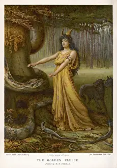 Medea und das FLEECE