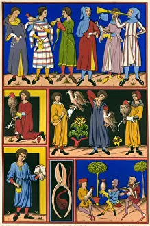 Medieval Falconry Drucke: Medieval Falconry