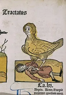 Mythical Creatures In Art History Drucke: A Medieval nightmare
