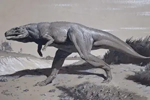 Megalosaurus