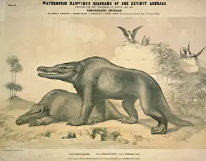 Megasaur und Pterodaktyl