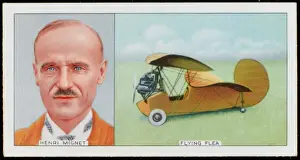 Vintage Airplane Designs Drucke: Mignet & Flying Flea