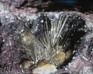 Natural History Museum Specimens Drucke: Millerite