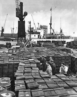 Trans-Antarktis-Expedition Drucke: Millwalls Hafen, London