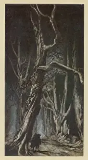 Classic Literature Illustration Drucke: Miltons Comus / Rackham