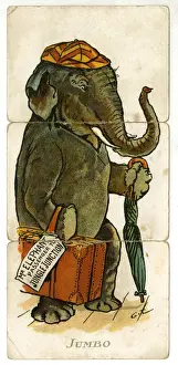 Vintage Elephant Illustrations Drucke: Misfitz - Jumbo