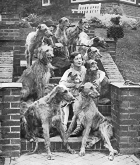 Die Frau Richmond und ihre Hirschjägerhunde