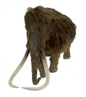 Modell der Ilford-Mammut-Ausstellung