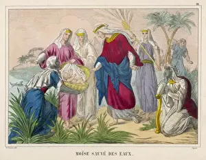 Biblical Scenes For Sale Drucke: Moses, Child, Saved
