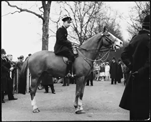Geschlossener Polizist