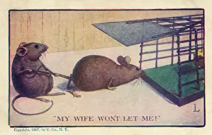 Maus fern von der Falle.