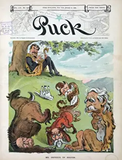 Puck Magazine Illustrations Online Drucke: Mr. Orpheus of Boston