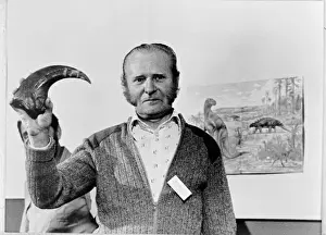 Archosauria Species Drucke: Mr William Walker