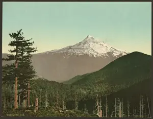 Photochrom Coloured Pictures Drucke: Mt. Hood