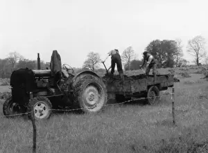 British Farming History Drucke: Muck Spreading