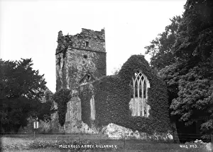 County Kerry Landscape Photography Drucke: Muckross Abbey, Killarney