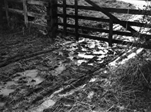 Mud at the Gate