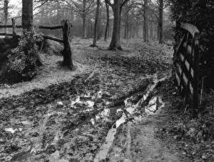 Muddy Gateway