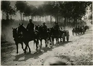 British Troops In Ww1 Drucke: Mule-Drawn Ammunition