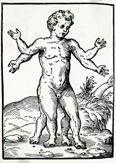 Vierbeiniger Kind / 1560