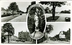 Hertfordshire Drucke: Multiansicht, Letztenbury Gartenstadt, Hertfordschire