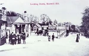Muswell-Hill