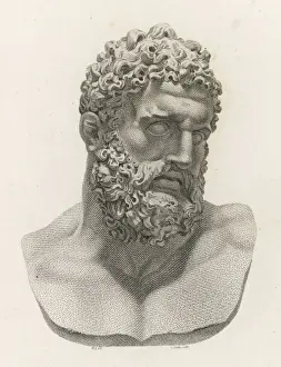 Hercules Statue Drucke: Myth / Hercules Bust