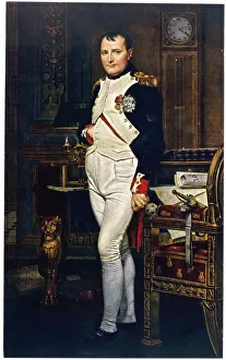 Napoleon Portrait Drucke: Napoleon (David)