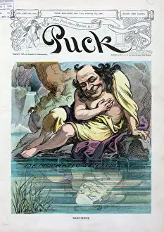 Narcissus
