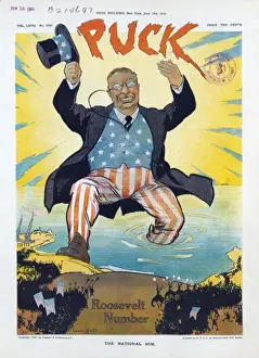 National Symbolism Drucke: The national him