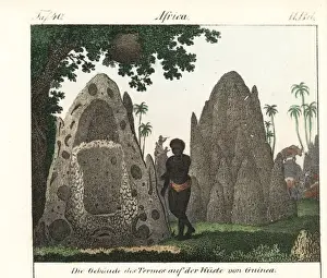 Complete Gallery Of Peoples History Drucke: Native standing next to termite hills on