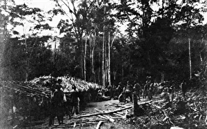 Heimische Truppen das Dachstuhlbaus niederlegen in Kamerun Afrika im Ersten Weltkrieg