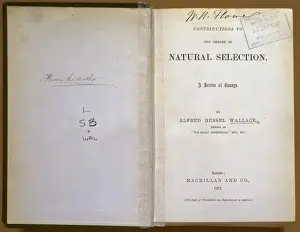 Natural Selection Theory Drucke: Natural Selection