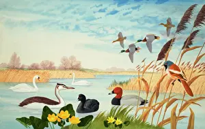 Drucke von Naturlandschaft Fluss-Kunstwerke Drucke: Naturlandschaft