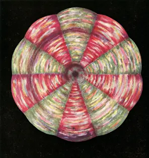 Der Bauchchakras