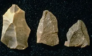 Drucke von Steinwerkzeuge, die einst den Neandertaler (Homo neanderthalensis) gehören sollen, der im Gorbans-Felsenkeller auf Gibraltar lebte Neanderthalensis Drucke: Knochenwerk der Neandertaler