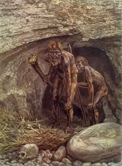 Early Human Evolution Drucke: Neanderthaloid / Wells