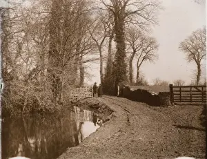Sepia Tone Images Drucke: Near Bognor