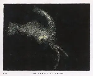 Orion Nebula Drucke: Nebula in Orion